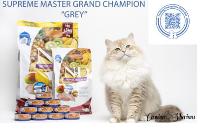 Supreme Master Grand Champion Grey (Ambassador for N&D Farmina Cat Food), Click QR Code for 30% Off.